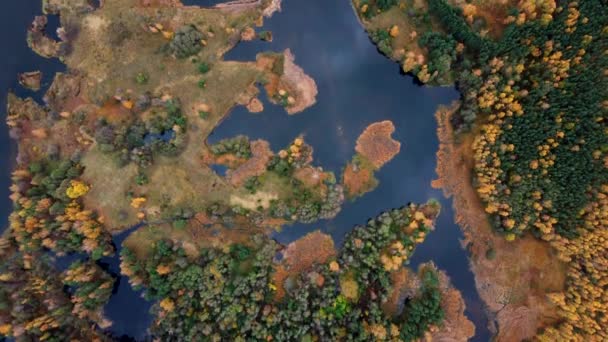 Sumpfiger See Mit Mehreren Inseln Blick Von Oben — Stockvideo