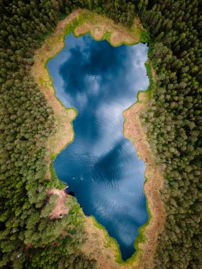 Güzel vahşi orman gölünün havadan görünüşü