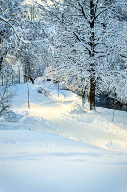 Kışın şehir parkı, Noel 'den önce güzel bir manzara