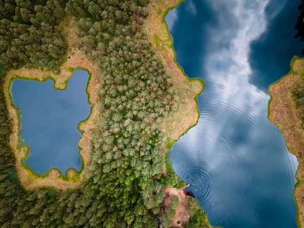 美しい野生の森の湖の空中ビュー — ストック写真