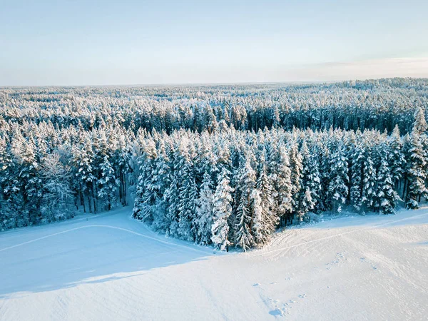 Inverno Bela Paisagem Com Árvores Cobertas Com Geada Vista Aérea — Fotografia de Stock