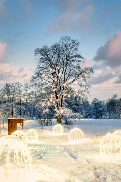 City Park Winter Beautiful Scenery Christmas — Stock Photo, Image
