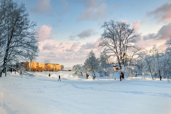 Park Miejski Zimą Piękne Krajobrazy Przed Bożym Narodzeniem Obraz Stockowy
