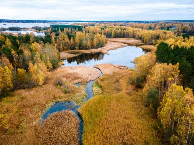Orman ve göllerin hava manzarası, sonbahar yaprakları, yeşillik ve ağaçlar vahşi bir arazide.