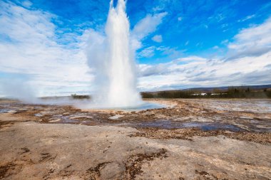 Strokkur gayzeri parlak mavi gökyüzünün altında İzlanda 'da patlıyor.