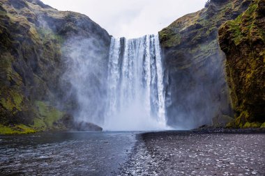 İzlanda 'da güçlü bir skogafoss şelalesi. Şelale, çağlayan su, sis ve engebeli güzelliğiyle nefes kesici bir doğa harikası.