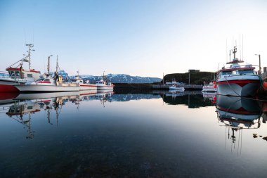 İzlanda 'nın arka planında karla kaplı dağlarla dolu sakin bir limana demirlemiş balıkçı tekneleri.