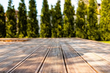 Uzun ağaçlar tarafından çerçevelenmiş, güneş ışığı ve gölgeli ahşap bir güvertenin alçak açılı görüntüsü.