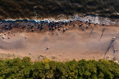 Kumsalın kıyısı, kumlu sahillere vuran dalgalar, suyun kenarına dağılmış kayalar.