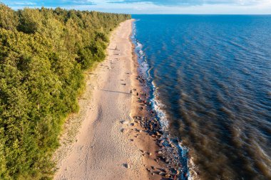 Ufuk çizgisine doğru uzanan kumlu sahil, bir tarafında kalın yeşil bir orman, diğer tarafında sakin mavi bir okyanus var.