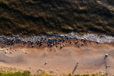 Kumsalın kıyısı, kumlu sahillere vuran dalgalar, suyun kenarına dağılmış kayalar.