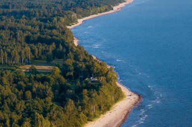 Letonya 'daki Baltık Denizi' nin ormanlık kıyı şeridi. Kumlu plajlar, ufka uzanan sakin mavi sularla buluşuyor.