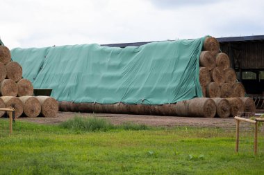 Large stacks of hay bales covered with tarps on a farm, essential for sustaining livestock through the seasons. clipart