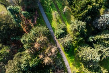 Bir hava manzarası, farklı ağaçlar ve çalıların arasında bir botanik bahçesinin dolambaçlı yolunu yakalar. Güneş ışığı bahçenin düzenini aydınlatan uzun gölgeler bırakır..