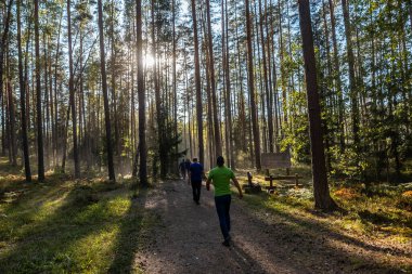 Uzun ağaçlar güneş ışığının yerde lekeli bir etki yaratmasına izin verir. İnsanlar kirli bir patika boyunca yürür. Belirlenmiş bir patikayı gösteren bir işaret levhasıyla..
