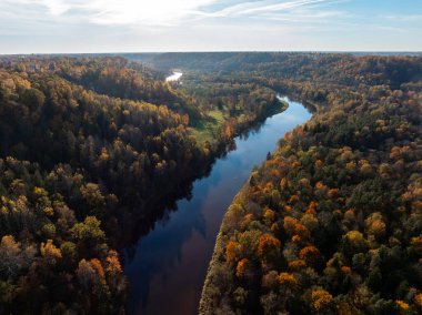 Gauja Nehri, Letonya 'nın Sigulda kentinde canlı sonbahar yapraklarıyla çevrili yoğun bir ormanın içinden esiyor. Tepeler ve açık mavi gökyüzü sahneyi tamamlıyor.