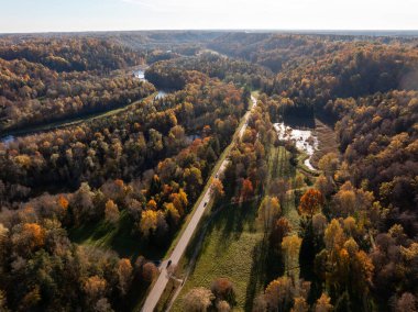 Hava görüntüsü Letonya 'nın Sigulda kentindeki sık bir ormandan geçen dolambaçlı bir nehir ve yolu gösteriyor. Ağaçlar canlı sonbahar renkleri sergiler, araçlar yolda görünür..