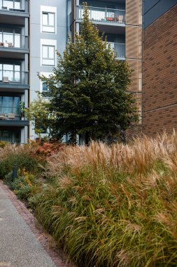 Çağdaş bir şehir binasında birden fazla balkon ve ahşap ve metal malzemeler bulunur. Önünde uzun otlar ve bir ağaç olan bir bahçe..