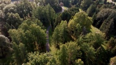 Bir hava manzarası, farklı ağaçlar ve çalıların arasında bir botanik bahçesinin dolambaçlı yolunu yakalar. Güneş ışığı bahçenin düzenini aydınlatan uzun gölgeler bırakır..