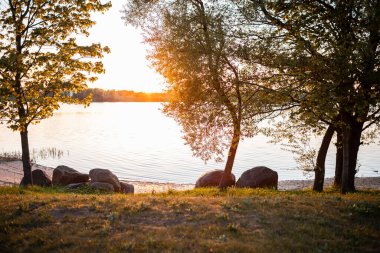 Göller gün batımında geri çekiliyor. Ağaçları delip geçen ve sakin suları yansıtan altın ışıkla birlikte.