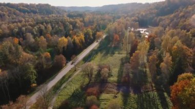 Hava görüntüsü Letonya 'nın Sigulda kentindeki sık bir ormandan geçen dolambaçlı bir nehir ve yolu gösteriyor. Ağaçlar canlı sonbahar renkleri sergiler, araçlar yolda görünür..