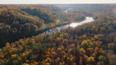 Gauja Nehri, Letonya 'nın Sigulda kentinde canlı sonbahar yapraklarıyla çevrili yoğun bir ormanın içinden esiyor. Tepeler ve açık mavi gökyüzü sahneyi tamamlıyor.