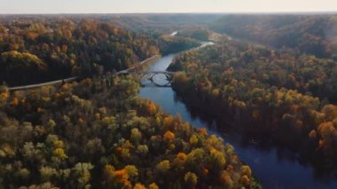 Gauja Nehri, Letonya 'nın Sigulda kentinde canlı sonbahar yapraklarıyla çevrili yoğun bir ormanın içinden esiyor. Tepeler ve açık mavi gökyüzü sahneyi tamamlıyor.