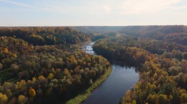 Sigulda, Letonya 'da, arka planda tepeler ve vadilerle dolu canlı bir sonbahar yeşilliği arasında dönen bir nehir ve köprüyü görüntüler..