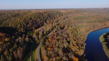 Sigulda, Letonya 'da sık bir orman canlı bir sonbahar yeşilliği sergiliyor. Dolambaçlı bir yol, açık mavi gökyüzünün altındaki uzak bir kaleye götürür, sahneyi güzelleştirir..