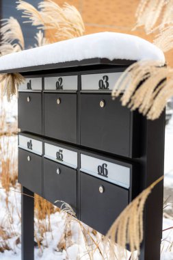 Kurumuş otlarla çevrili, karla kaplı altı bölmesi olan siyah metal bir posta kutusu. Arka planda bulanık bir bina görünüyor.