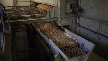 Ahşap çipler, metal makineler, hidrolik pistonlar ve görünür kablolarla beton duvarlar taşıyan bir taşıyıcı sistem..