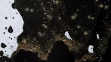 Karla kaplı beyaz bir yüzey, kısmen erimiş buzun koyu, düzensiz desenleriyle tezat oluşturur, kahverengi kenarları ve desenli cepleri vardır..