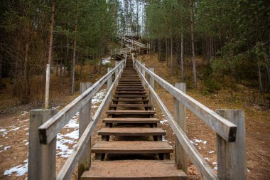 Korkuluklarla çevrili uzun çam ağaçlarının arasından yükselen tahta bir merdiven. Nadir kar parçaları zemini kaplıyor, görünür bir platforma çıkıyor..