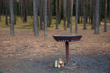 Kuru çam iğneleri ve toprağın altında yakacak odunları olan uzun çam ağaçlarından oluşan bir ormanda direğin üzerinde metal bir ateş çukuru duruyor..