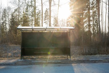 Şeffaf bir çatısı olan koyu yeşil metal bir otobüs durağı uzun yapraksız ağaçlarla çevrili sessiz bir yolun yanında duruyor ve güneş ışığı altında seyrek bir çalılık var..