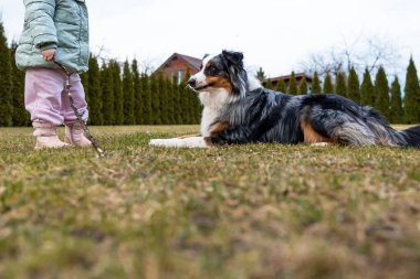 Açık yeşil ceketli ve pembe pantolonlu bir çocuğun yanındaki çimenlerde yatan bir Avustralya çoban köpeği. Arka planda hep yeşil ağaçlar ve kırmızı tuğlalı bir ev var..