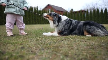 Açık yeşil ceketli ve pembe pantolonlu bir çocuğun yanındaki çimenlerde yatan bir Avustralya çoban köpeği. Arka planda hep yeşil ağaçlar ve kırmızı tuğlalı bir ev var..
