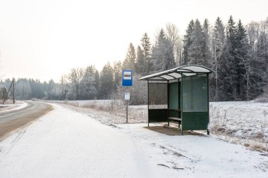 Yeşil bir otobüs durağı barınağı ve mavi tabela karlı kırsal bir yolda duruyor. Açık alanlar ve yapraksız ve yemyeşil ağaçlar bulutlu bir gökyüzünün altında görülebilir..