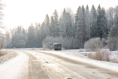 Buzlu bir yol solda kıvrımlı, karla çevrili ve yemyeşil ve çıplak ağaçlarla çevrili. Sağ tarafında mavi işareti olan yeşil bir otobüs durağı var..