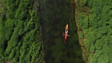 İki kişi, yoğun yeşil yapraklar ve yüzeyin altındaki görünür su bitkileriyle çevrili berrak bir su yolu boyunca canlı bir kano çırpıyor..
