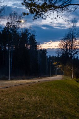 Alacakaranlıkta sokak lambalarıyla aydınlatılan dolambaçlı bir yol, seyrek çimenler ve uzun ağaçlarla çevrili. Gökyüzü koyu bulutları ve solgun güneş ışığını gösterir..