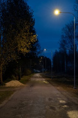 Sıcak sokak lambalarıyla aydınlatılmış, mavi bir gökyüzünün altında kırsal bir yol uzanır. Yanlarda seyrek ağaçlar var. Islak bölgeler ışığı yansıtıyor..