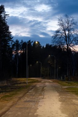 Sönük sokak lambalarının altından uzanan toprak bir yol seyrek ağaçlarla ve orman alanıyla sınırlıdır. Bulutlu bir gökyüzünün altında çıplak bir ağaç duruyor..