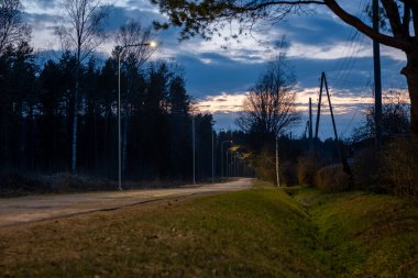 Alacakaranlıkta sokak lambalarıyla aydınlatılmış çimenli bir hendek ve seyrek ağaçlarla çevrili toprak bir yol. Bulutlu bir gökyüzünün altında elektrik hatları paralel çalışıyor..
