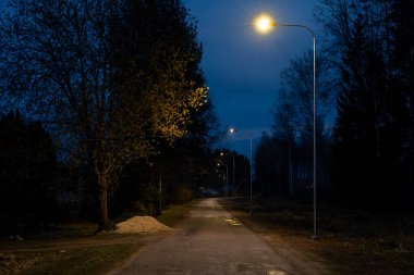 Sokak lambalarıyla aydınlatılmış, uzun yapraksız ağaçlarla çevrili kırsal bir yol. Solda küçük bir kum yığını görünüyor, üzerinde mavi bir gökyüzü var..