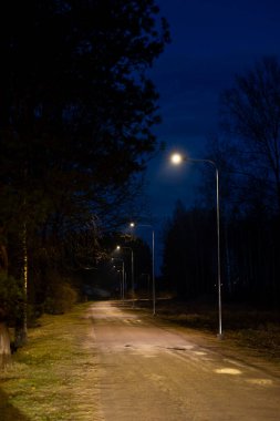 Sıcak sarı sokak lambalarının altında toprak bir yol uzanıyor. Yolu çevreleyen ağaçlar ve tarlalar akşam gökyüzüne karşı siluetlendi..