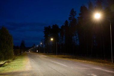 Sessiz bir yol, uzun ağaçlar ve çimenli bir sınırla çevrili, derin mavi bir akşam gökyüzünün altına uzanır, sokak lambaları sıcak ışık saçar..
