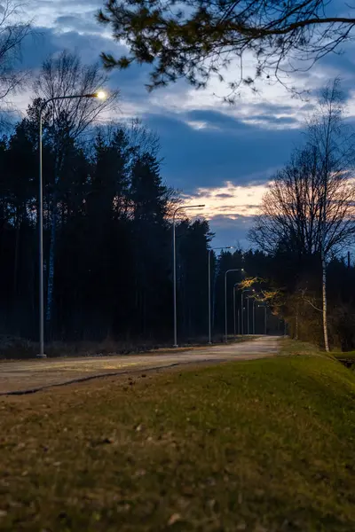 Alacakaranlıkta sokak lambalarıyla aydınlatılan dolambaçlı bir yol, seyrek çimenler ve uzun ağaçlarla çevrili. Gökyüzü koyu bulutları ve solgun güneş ışığını gösterir..