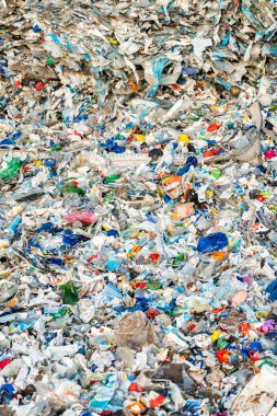 Çeşitli renk ve şekillerde şişeleri, ambalajları ve enkazı olan büyük plastik atık koleksiyonu, kirliliğin çevresel etkisini vurguluyor.