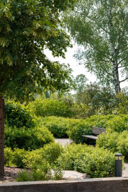 Bir bahçe, bir patika boyunca ahşap bir bank, budanmış çalılar, yeşil yapraklar, bir huş ağacı dahil uzun ağaçlar ve bir aydınlatma armatürü ile çevrili.